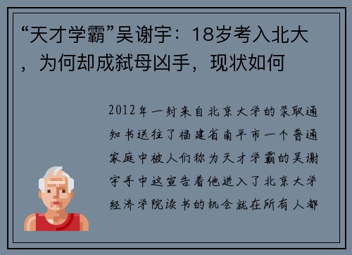 “天才学霸”吴谢宇：18岁考入北大，为何却成弑母凶手，现状如何