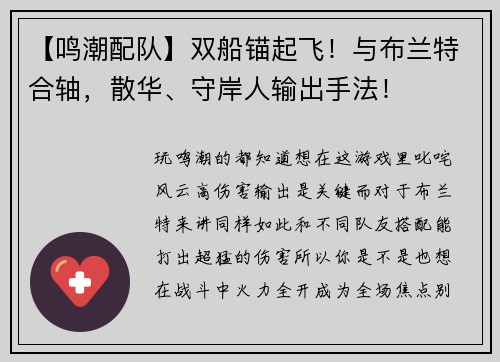 【鸣潮配队】双船锚起飞！与布兰特合轴，散华、守岸人输出手法！